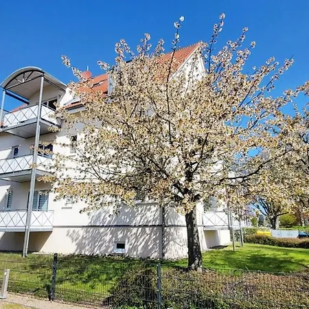 Appartementhaus Ulmenhof Apartamento